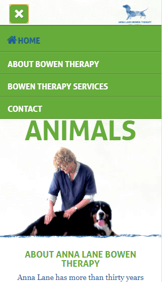 Anna Lane Bowen Therapy website mobile service information