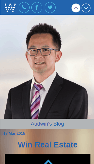 Audwin Wibrata website mobile lead generation view